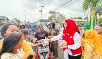 IMG 0985 0985